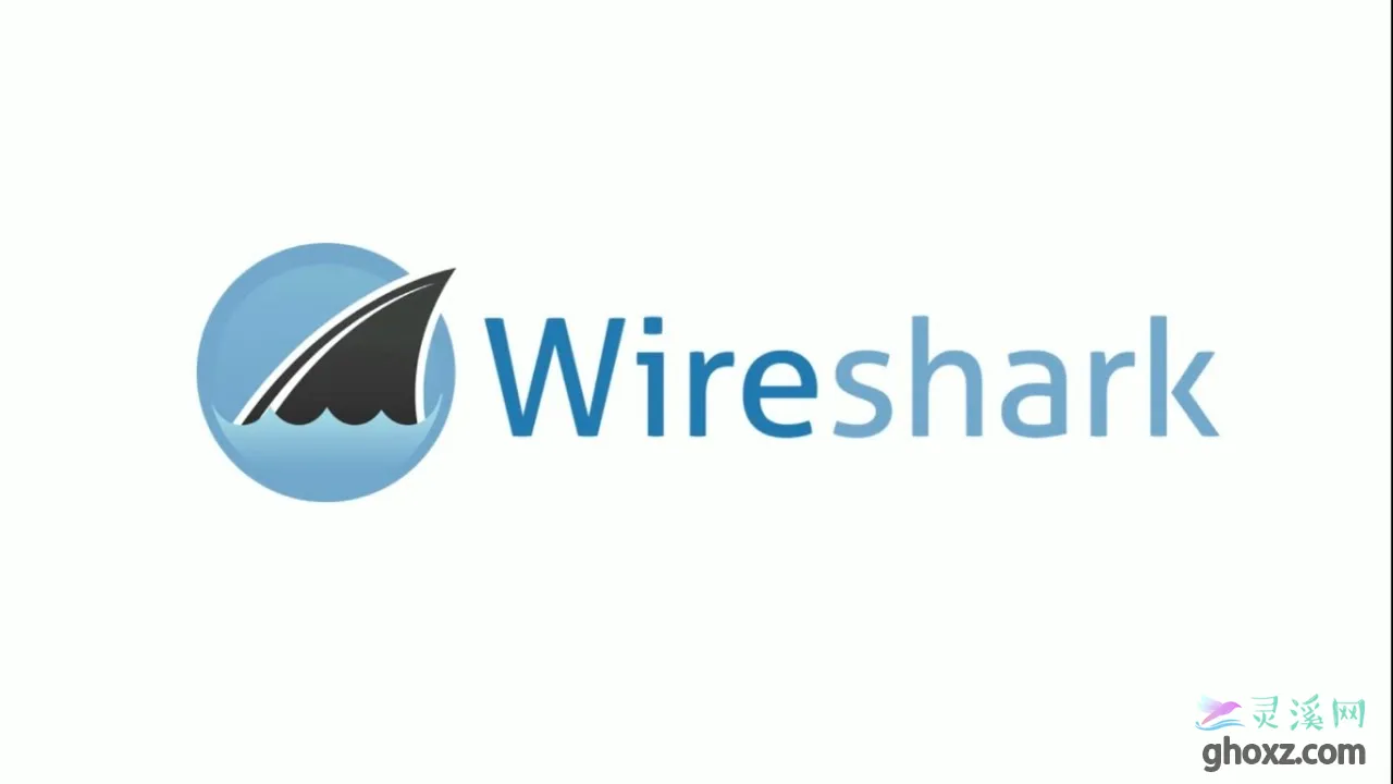 Wireshark v4.4.0 x64 网络抓包分析工具