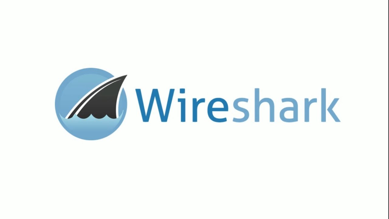 Wireshark v4.4.0 x64 网络抓包分析工具